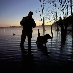 Meet your Posher, Rob